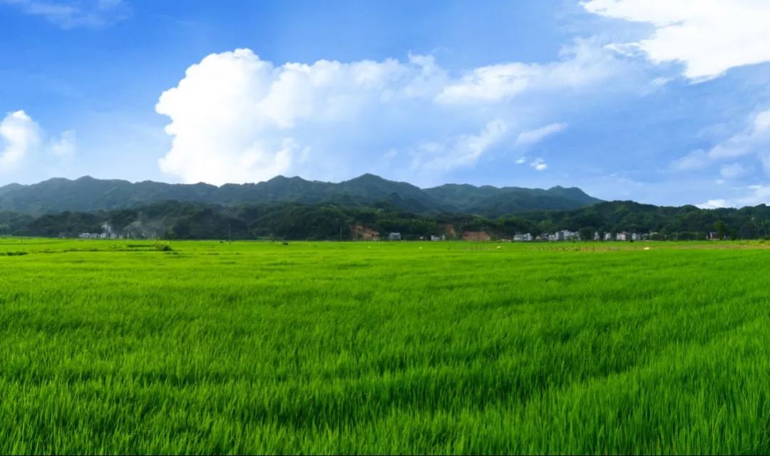 宜春吹響加快富硒產業發展集結號